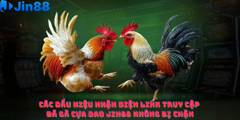 Đá gà cựa dao Jin88 – Cách nhận diện link truy cập chính thức không bị chặn - hình ảnh - hpknknbvy.top Đá gà cựa dao Jin88 – Cách nhận diện link truy cập chính thức không bị chặn - hình ảnh - hpknknbvy.top
