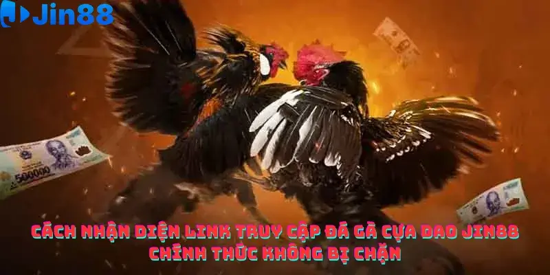 Đá gà - Jin88 - hình ảnh - hpknknbvy.top Đá gà - Jin88 - hình ảnh - hpknknbvy.top